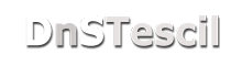 DnSTescil - Domain Tescil ve Hosting Servisi